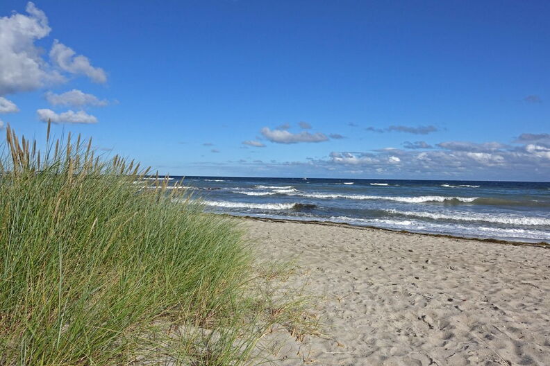 110_OH_00361b.jpg
