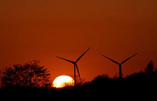 131 A9 03741 Sonnenuntergang