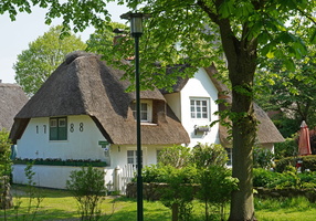 414 A7 01286c Nieblum