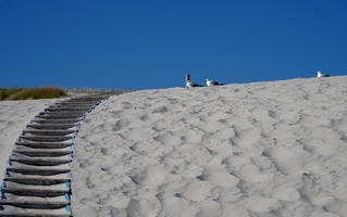 505 A7 01094c Duenen