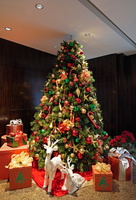 0831 91 08456c Shangri La Horizon