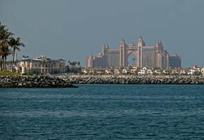 0924 R6 00951c Palme