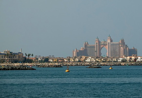 0927 R6 00991c Palme