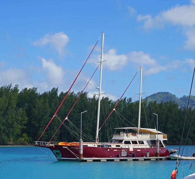 501_00645c_Windjammer.jpg