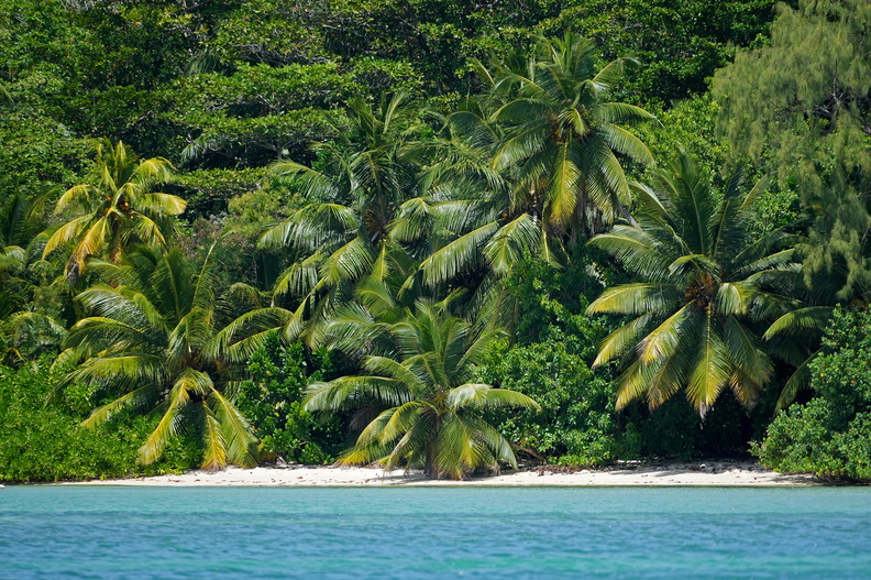 512_05749c_Saint-Anne Marine National Park.jpg