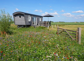 00 02001c Sternenglueck