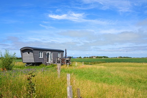 05 00824c Sternenglueck