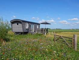 08 02004c Sternenglueck