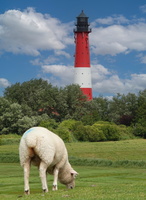 49 00356c Leuchtturm