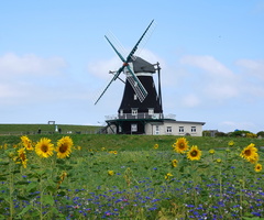 55 01844c Nordermuehle