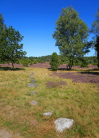 38 4838b Wietzer Berg