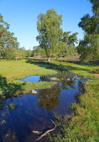 43 4996b Buesenbachtal