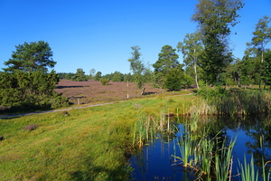 45 5033b Buesenbachtal