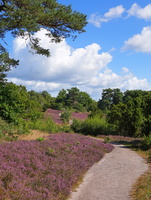 79 6654b Oberhaverbeck