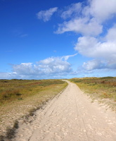 07 2200b Duenen