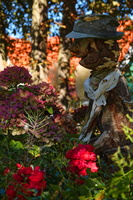 34 2782b Garten