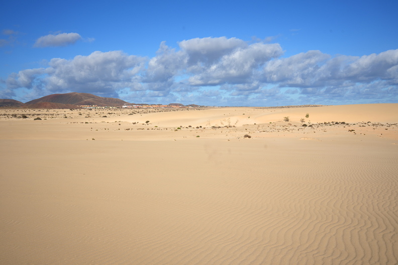 39_11908b_Duene.jpg