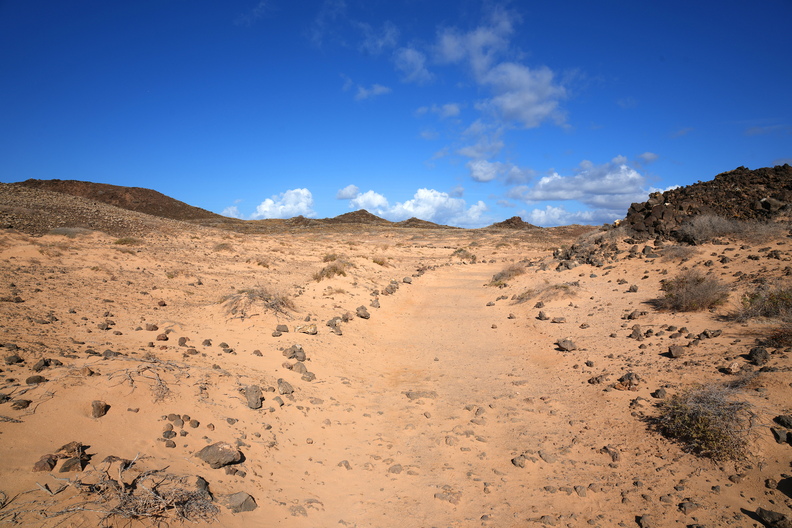 75_10642b_Lobos.jpg