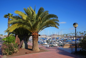 63 3114b Yacht
