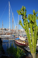 66 3092b Yacht