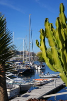 75 3629b Yacht