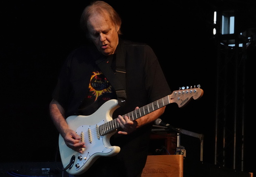 Walter Trout